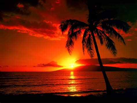 Celebrity Wallpapers: Island Sunset Wallpapers