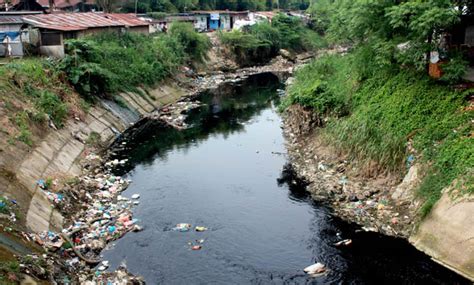 A)penubuhan sebuah yayasan atau kelab pencinta sungai perlu dimulakan. Penggunaan filter air sungai untuk mengatasi pencemaran air