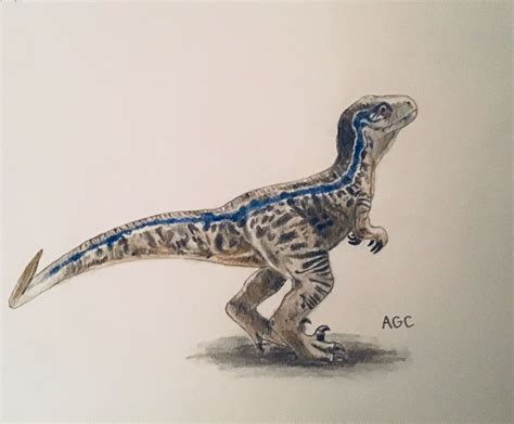 Pin By Luna Jeancon On Blue♥ Velociraptor Drawing Blue Jurassic World Velociraptor