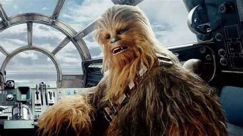 42 Cuddly Facts About Chewbacca