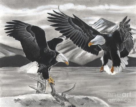 Everyone can create great looking drawings! Eagles Drawing by Christian Conner