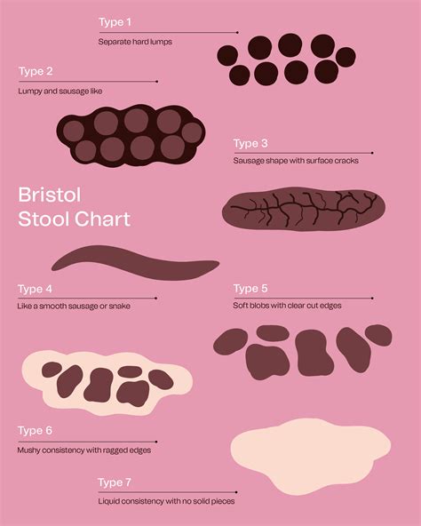 Identifying Types Of Poop With The Bristol Stool Chart And 53 Off