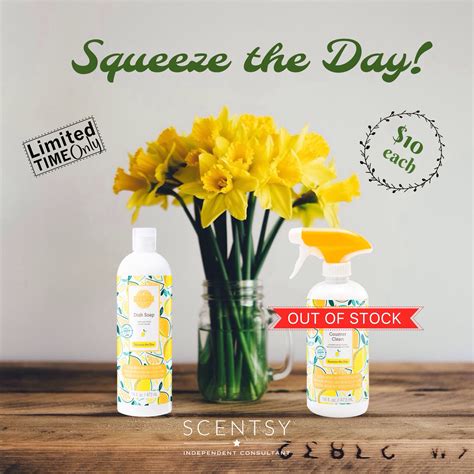 Scentsy Squeeze The Day Dish Soap Buy Online 10 Scentsy Dish Soap