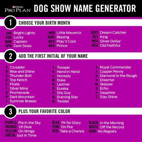 Newest 38 Show Dogs Names