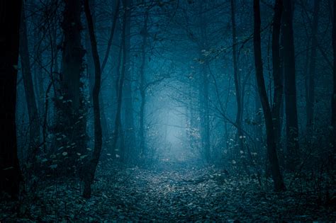 Mysterious Bluetoned Forest Pathway Footpath In The Dark Foggy Autumnal