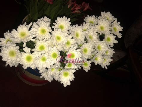 New horizons on switch has a plethora of flowers, including some breeds new to the franchise. White mums with mint green centers. | White mums, Mint ...