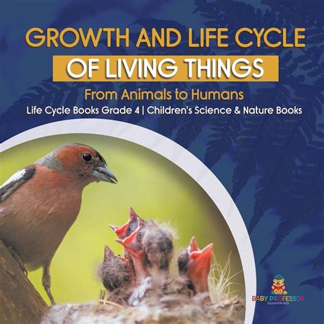 Buy Growth And Life Cycle Of Living Things From Animals To Humans Life
