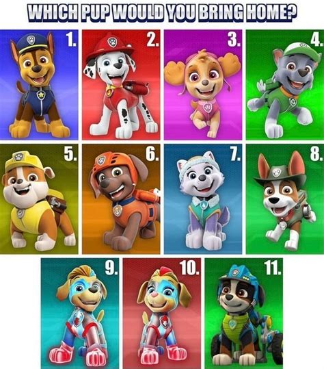 Poster Of Paw Patrol Characters