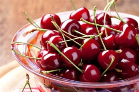 Makan makanan yang sehat dan bervariasi sangat penting selama kehamilan karena nutrisi yang tepat dapat membantu janin untuk tumbuh dan berkembang. 7 Macam Buah yang Baik Untuk Ibu Hamil | theAsianparent ...