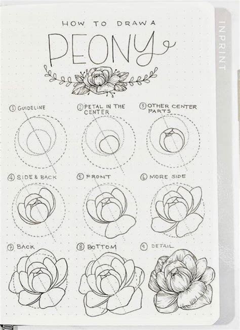 34 Best Step By Step Flower Doodle Tutorials For 2021 Atinydreamer