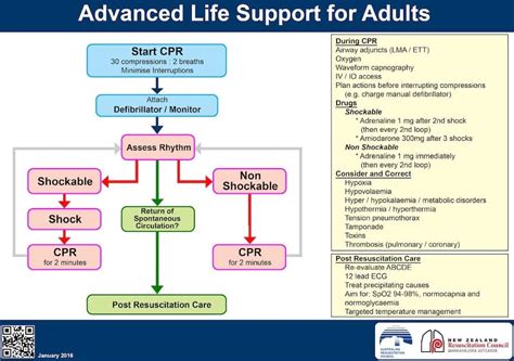 Advanced Life Support • Litfl • Ccc