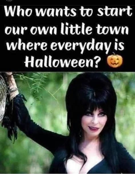 Elvira Halloween In 2023 Halloween Memes Halloween Funny Pretty Words