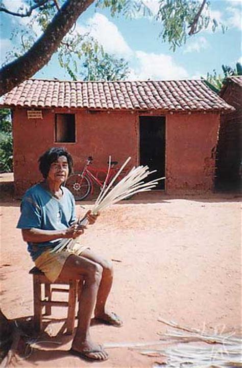 Casas Povos Indígenas No Brasil Mirim
