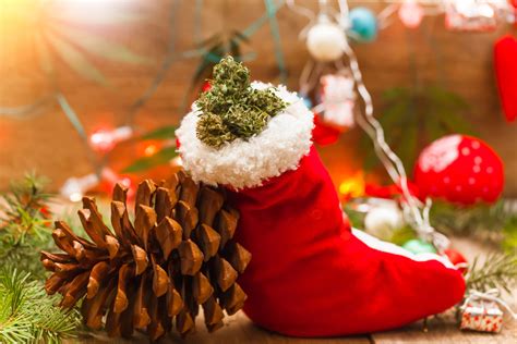 The Cannabis Christmas Connection A Long Ago Winter Solstice Tradition