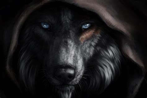 Mysterious Wolf With Piercing Eyes Fondo De Pantalla And Fondo De
