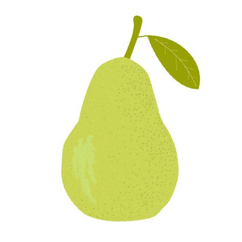63700 Pear Stock Illustrations Royalty Free Vector Graphics And Clip