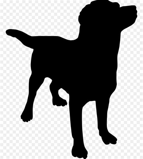 Labrador Retriever Silhouette Puppy Clip Art Dogs Png Download 1000