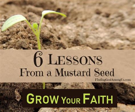 Grow Your Faith 6 Lessons From A Mustard Seed Finding God Among Us