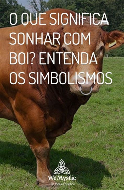 O Que Significa Sonhar Boi Entenda Os Simbolismos Wemystic Brasil