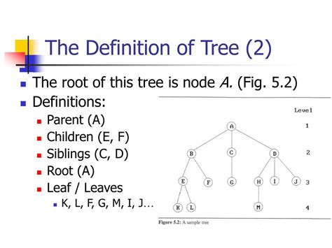 Ppt Chapter 5 Trees Powerpoint Presentation Free Download Id240846