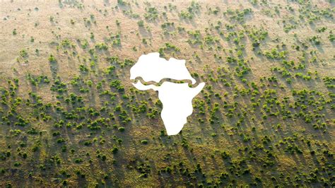 Why Africa Is Building A Great Green Wall