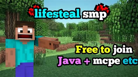Minecraft Live Public Smp Lifesteal Smp Cracked Smp Youtube