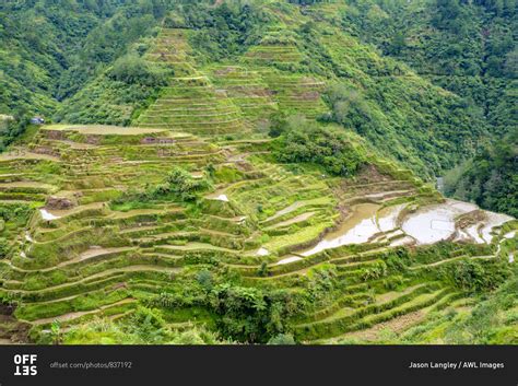 Banaue Rice Terraces In Early Spring Mountain Province Cordillera