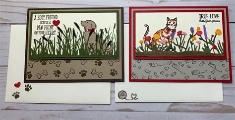 Stampinup Happy Tails Nine Lives Friend Like You Card To Make These