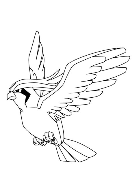 Pidgeot Pokemon Coloring Pages Free Coloring Pages For Kids