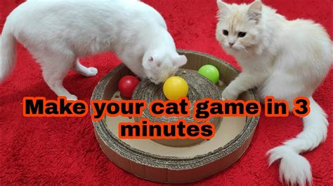 How To Make Cat Toy In 3 Minutes Youtube