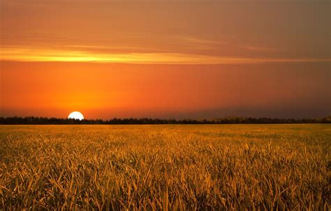 Sunset Field Wallpapers Wallpaper Cave