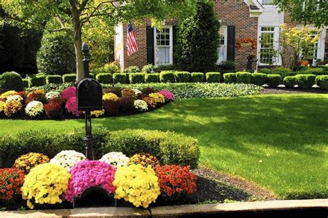 Home And Gardening Tips 6 Tips For A Lush Lawn Daily Press