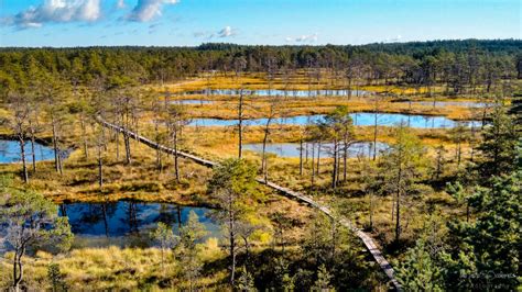 Nature Culture Day Tour To Lahemaa National Park Capture Estonia