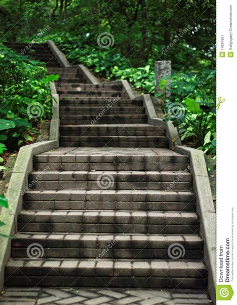 Steps stock image. Image of grey, green, steps, staircase - 14297881