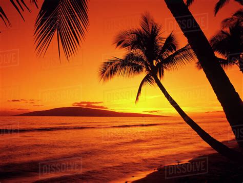 Usa Hawaii Maui Colorful Sunset In A Tropical Paradise Stock