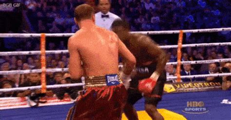 See more ideas about boxing techniques, ripped, martial arts gif. Boxing gym january GIF on GIFER - by Kigarr