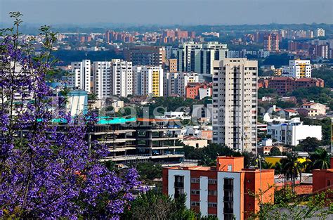 Se encuentran las noticias de cali más extraordinarias, sus alrededores y el mundo. Cali es hoy una ciudad más equitativa, destaca la ONU ...
