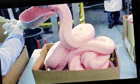 Mcdonalds Reveal Exactly What Is In Their Chicken Nuggets Chicken