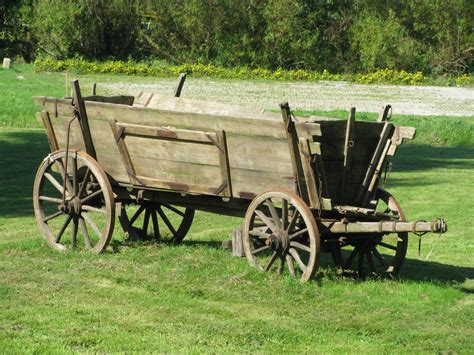 Free Images Farm Transport Amish Carriage Heritageparkcalgary