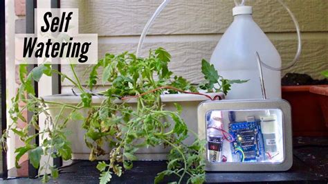 How To Make Self Watering System