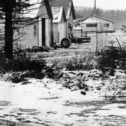 Logging Camp Campbell River Museum Online Gallery
