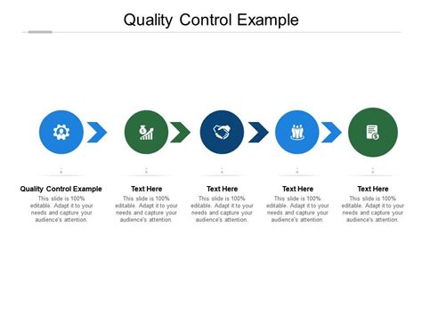 Quality Control Example Ppt Powerpoint Presentation Inspiration