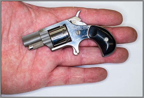 Naa Mini Revolver 22 Short Auction Id 17910788 End Time Jul 13
