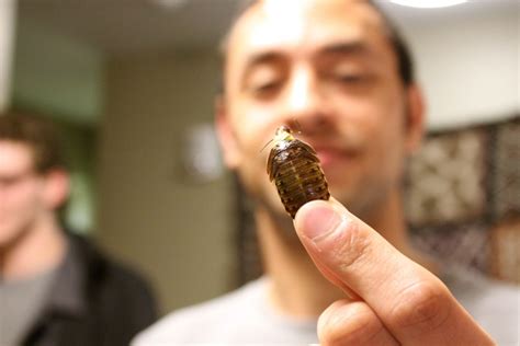 Meet The College Student Who Vowed To Eat Bugs For A Month Food Republic