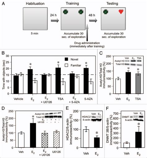 Figure From Epigenetic Regulation Of Hormone Induced Memory