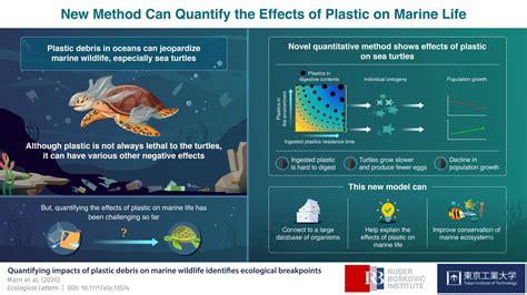Saving Marine Life Novel Method Quantifies The Effects Of Plastic On