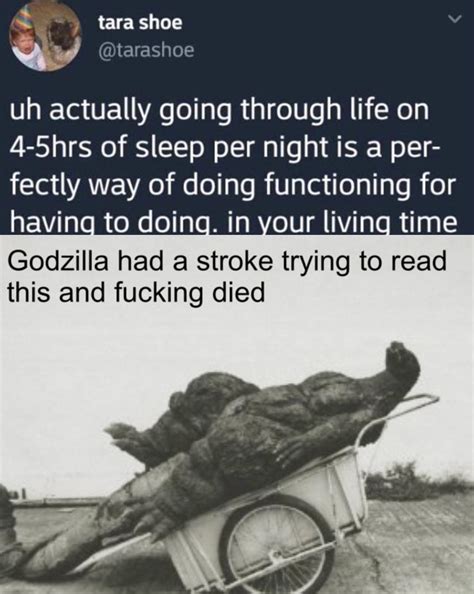 Sleep Godzilla Had A Stroke Trying To Read This And Fucking Died Know Your Meme