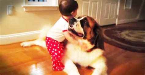 Baby Hugs Dog Cute Video