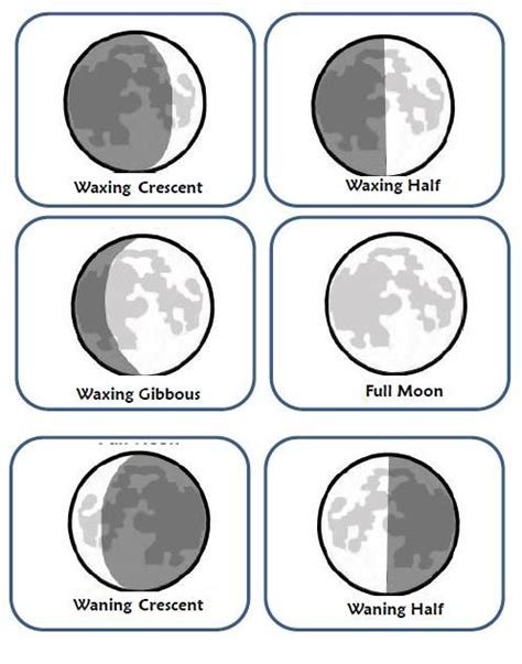 Phases Of The Moon Worksheet Grade 4