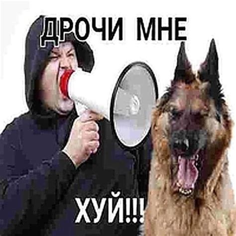 Really Funny Pictures Meme Pictures Reaction Pictures Russian Memes
